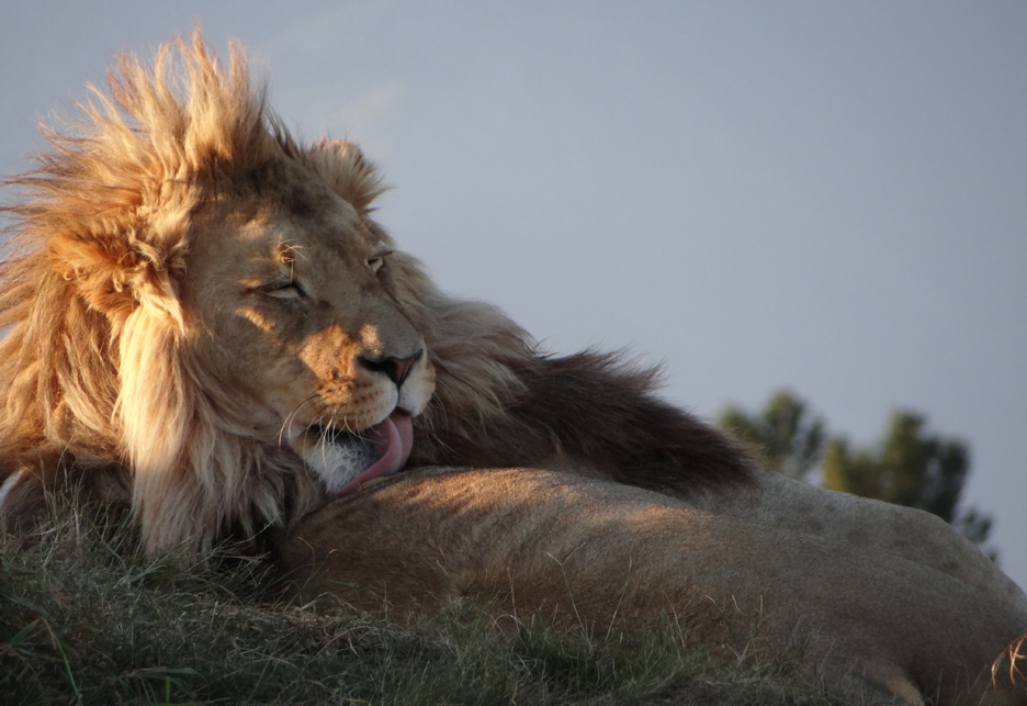 GARDEN ROUE GAME RESERVE