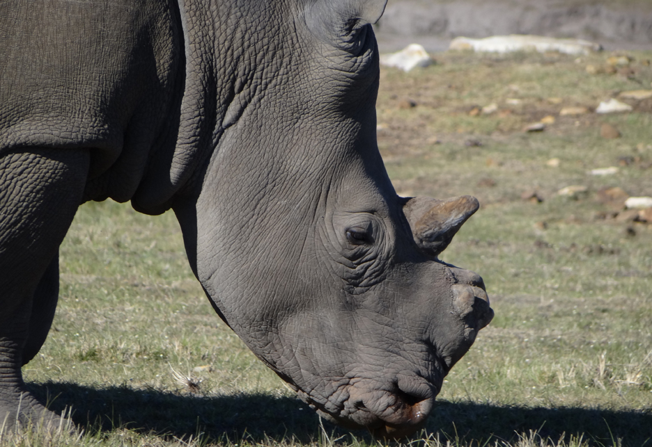 GARDEN ROUTE SAFARI