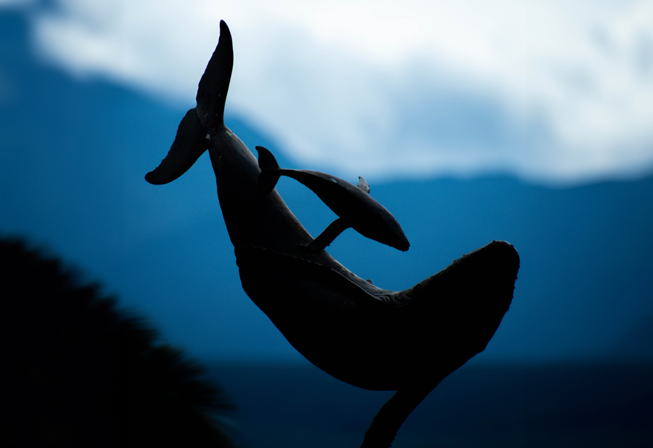 HERMANUS